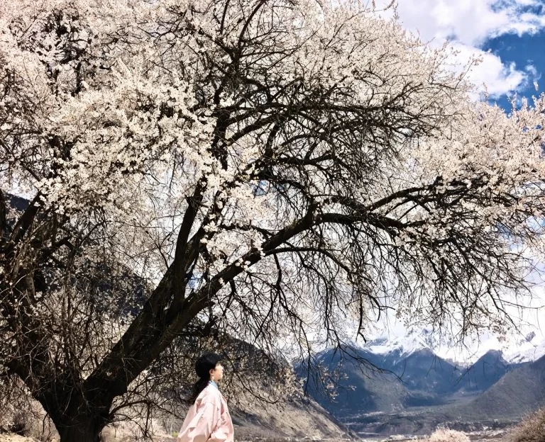 林芝旅游 1