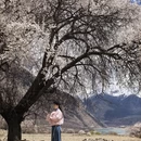 林芝旅游 缩略图 4