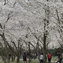 无锡旅游 缩略图 17