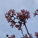 广州旅游 缩略图 12