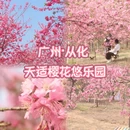 广州旅游 缩略图 1
