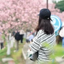 广州旅游 缩略图 4
