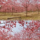 广州旅游 缩略图 6
