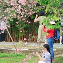 广州旅游 缩略图 6