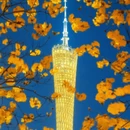 广州旅游 缩略图 2