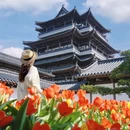 广州旅游 缩略图 7