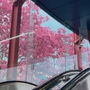 广州旅游 缩略图 5