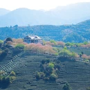 福州旅游 缩略图 9