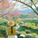 福州旅游 缩略图 1