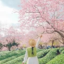 福州旅游 缩略图 5