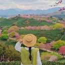 福州旅游 缩略图 7