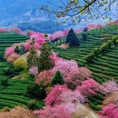 龙岩旅游 缩略图 1