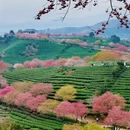 龙岩旅游 缩略图 8