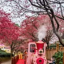 龙岩旅游 缩略图 4