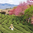 福州旅游 缩略图 6