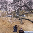 林芝旅游 缩略图 6