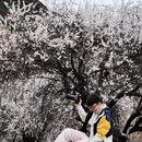 林芝旅游 缩略图 11