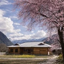 林芝旅游 缩略图 5