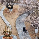 林芝旅游 缩略图 12