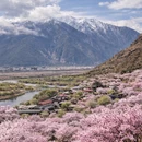 林芝旅游 缩略图 4