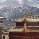 林芝旅游 缩略图 6