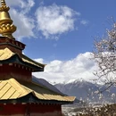 林芝旅游 缩略图 5