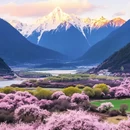 林芝旅游 缩略图 3