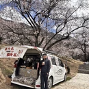 林芝旅游 缩略图 3