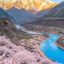 林芝旅游 缩略图 4