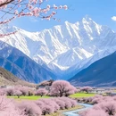 林芝旅游 缩略图 5