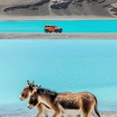 林芝旅游 缩略图 9