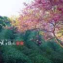 龙岩旅游 缩略图 4