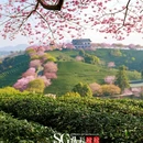 龙岩旅游 缩略图 1
