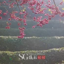龙岩旅游 缩略图 10