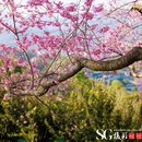 龙岩旅游 缩略图 6