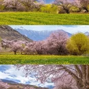 林芝旅游 缩略图 1