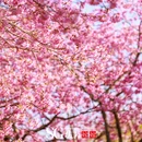 龙岩旅游 缩略图 12