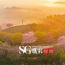 龙岩旅游 缩略图 14