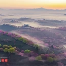龙岩旅游 缩略图 15