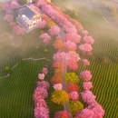 龙岩旅游 缩略图 16