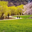 林芝旅游 缩略图 3