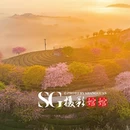 龙岩旅游 缩略图 17