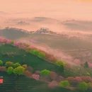 龙岩旅游 缩略图 18