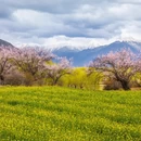 林芝旅游 缩略图 4