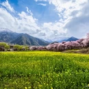 林芝旅游 缩略图 8