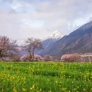 林芝旅游 缩略图 17