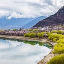 林芝旅游 缩略图 13