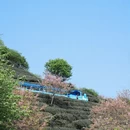 龙岩旅游 缩略图 9