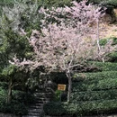 龙岩旅游 缩略图 4
