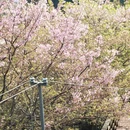 龙岩旅游 缩略图 12